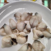 免桨黑鱼片免洗免切酸菜鱼水煮鱼麻辣鱼火锅自助