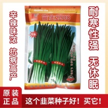 富生2908韭菜种子耐寒耐高温抗老化无干尖辛辣味