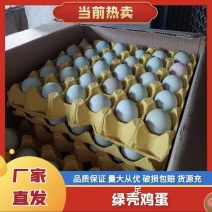湖北武汉精品绿壳鸡蛋大量供应自己的养殖场新鲜发货营养丰富