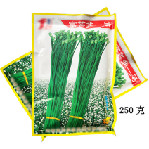 富苔韭一号韭苔种子叶色深绿分苔强粗壮鲜嫩