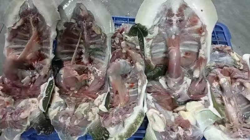 打开蟹壳后展示内部结构，并标示出需要去除的内脏部位