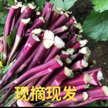 红菜苔