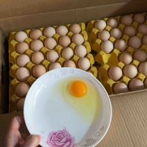 480枚双色加香新杨黑基地直供，新鲜看得见，量大价优。