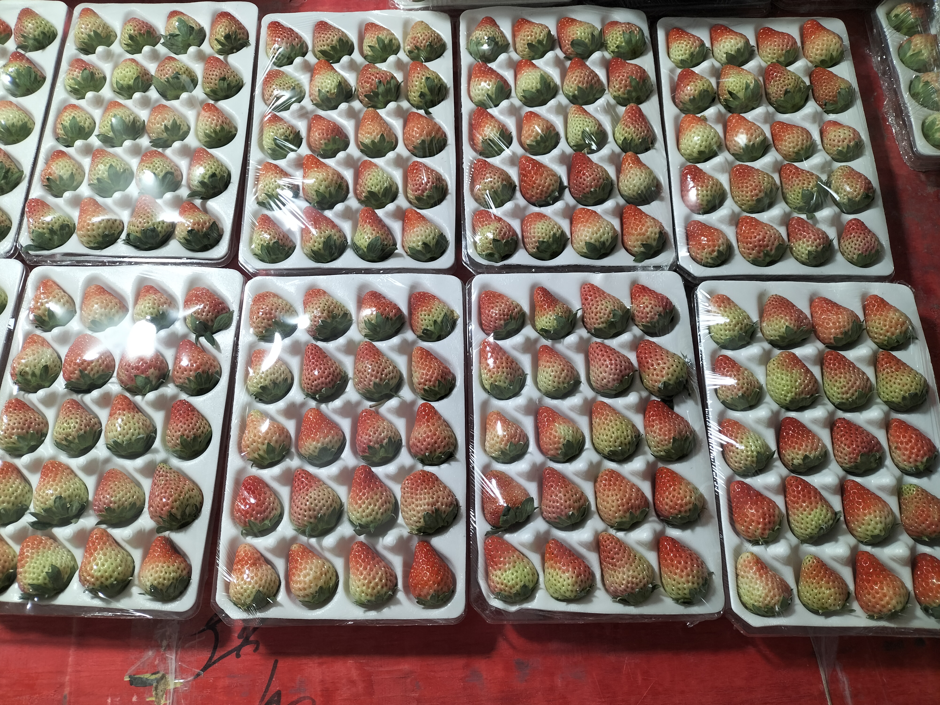 湖南红颜草莓鲜果品鉴与包装场景
