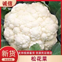 【河南菜花】通许菜花/白面青梗松花菜/产地货源/全国发货