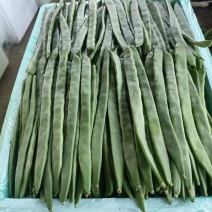 绿扁豆刀豆