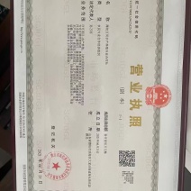 山东潍坊养虾厂里批发无冰衣手扒速冻鲜虾仁