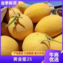 新疆黄金蜜25号糖度高口感好出口东南亚耐运输欢迎来电