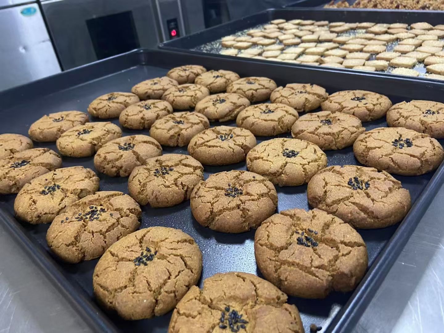 电烤箱中正在烘烤的芝麻