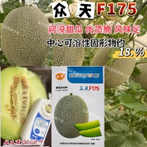 众天F175网纹甜瓜种子高糖绿肉网纹蜜瓜种子椭圆形哈密瓜