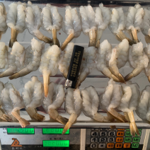 湛江包冰汉虾，蝴蝶虾，万邦发货厂家直销品质有保障