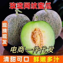 山东网纹蜜瓜玫珑蜜瓜玲珑哈密瓜新鲜采摘电商一件代发包邮