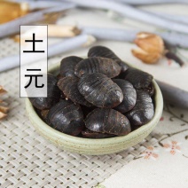 正品土元无硫中药材散装500g干土元虫活土鳖虫土鳖子土元