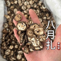 八月札八月瓜八月炸八月扎实拍现货干货