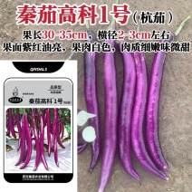 秦茄高科1号茄子种子杭茄一号紫红长茄线茄种子高产春秋蔬菜