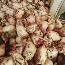 小牛头，小牛蹄