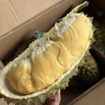 菲律宾普雅榴莲广州江南市场源头直发品质保证