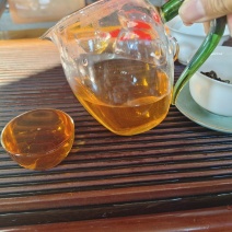 自家乔木晒红茶样品试喝装20克包邮