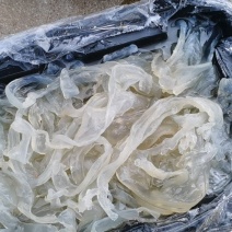 海蜇丝