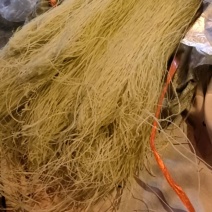 粉丝