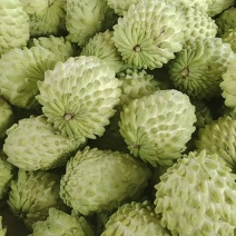 释迦果