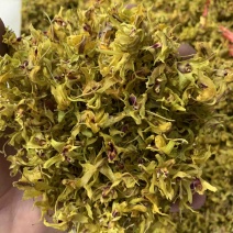 铁皮石斛花、自己基地自产自销、产地直发、新华