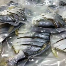 湛江特产金鲳鱼