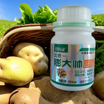 大姜土豆膨大帅控上促下增大增产表皮光滑大姜土豆膨大