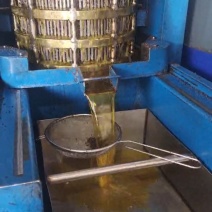 正宗山茶籽油