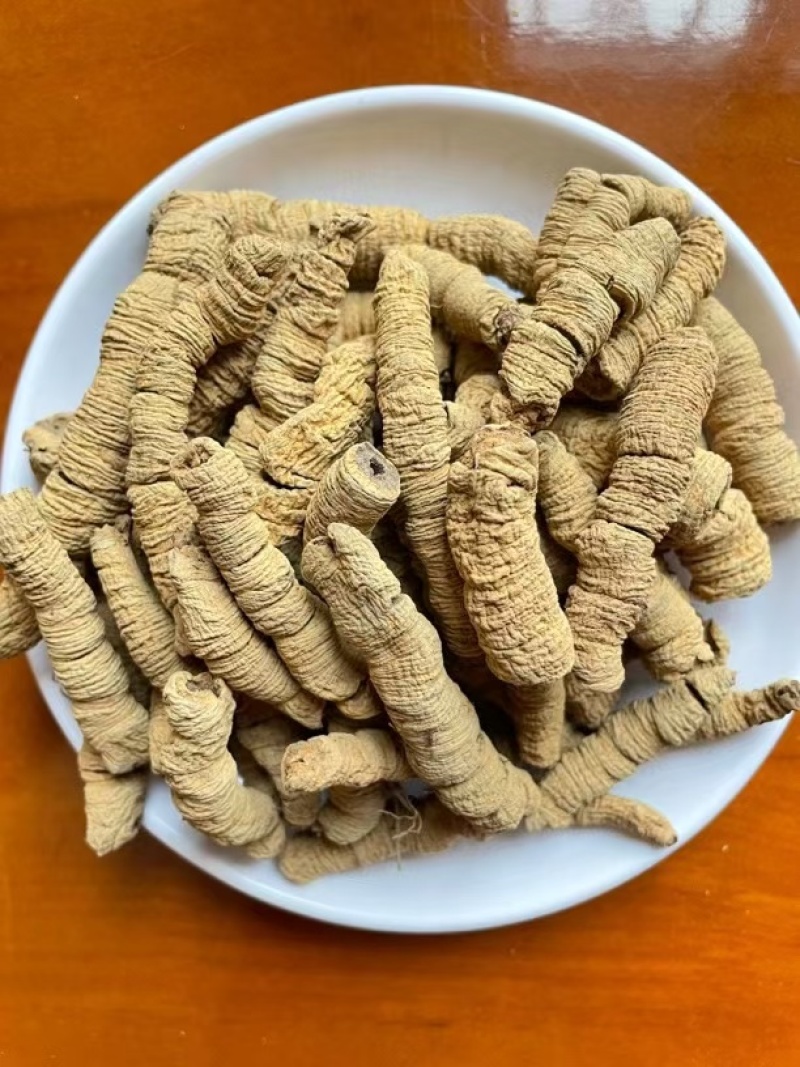 巴戟天煲汤泡酒中药材