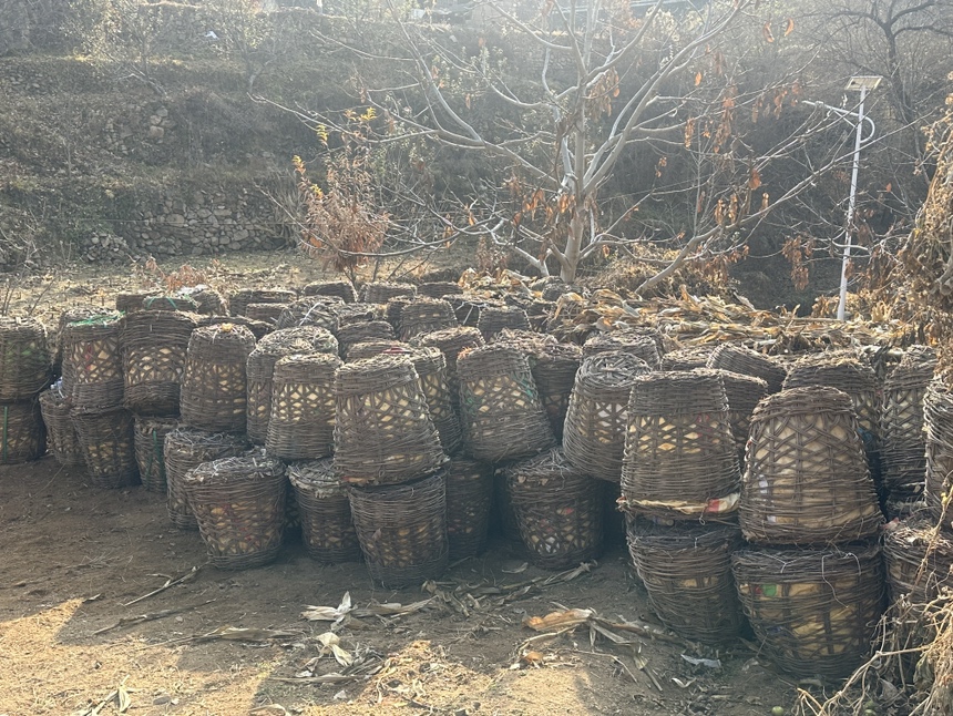 小国光苹果与传统农具组合陈列