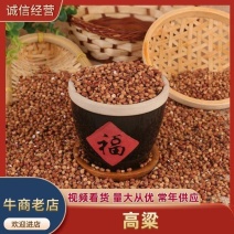 大量批发糯高粱酿酒新糯高粱米五谷杂粮带皮红高粱100斤