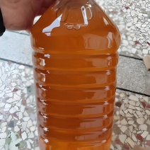 山茶籽油