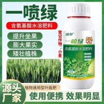 《一喷绿》氨基酸水溶叶面肥作物叶面肥绿叶肥