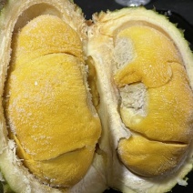 液氮黑刺D200马来西亚规格齐全品质保证