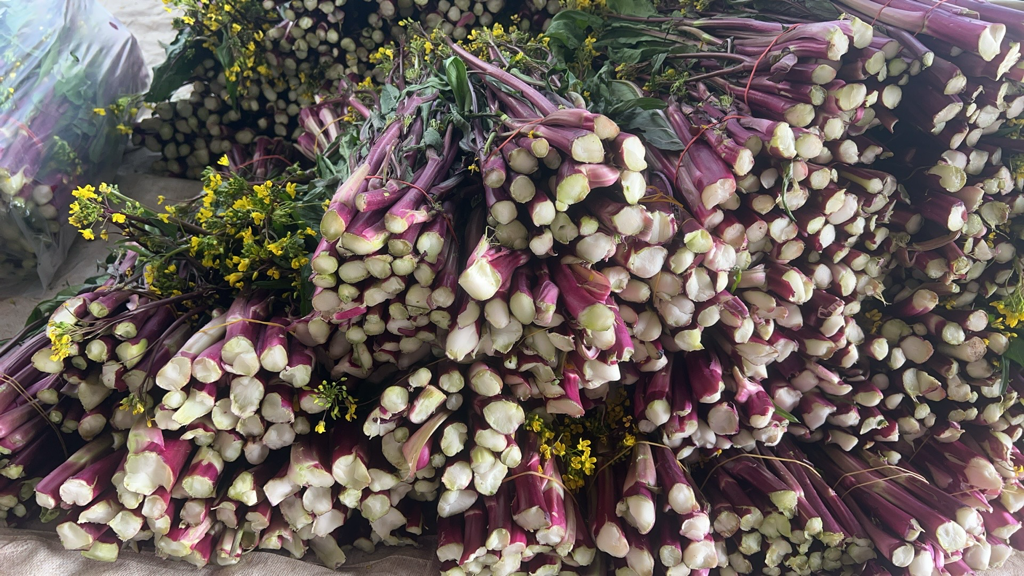 红菜苔超市货架陈列图