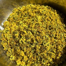 野生干菊花