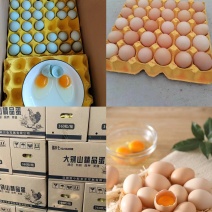 鸡蛋直批