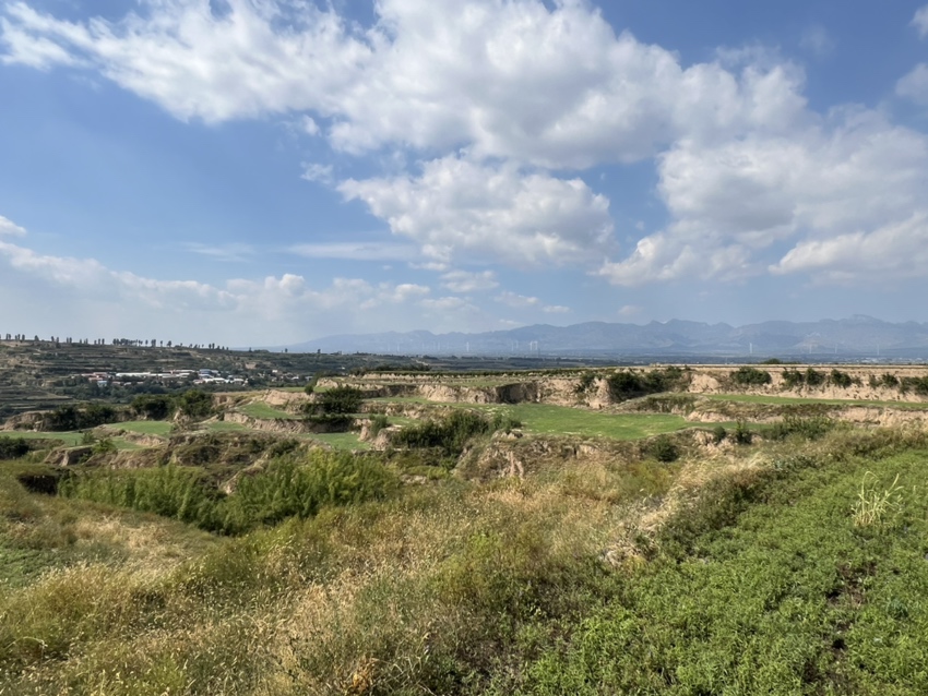 无人机航拍视角下的黄芩种植基地,整齐的田垄呈条带状分布,植株高度约30-50厘米,叶片对生呈披针形,部分已抽穗开花,紫色唇形花朵点缀其间,远处可见农民正在进行田间管理作业,土地为黄褐色砂壤土,排水良好 洒黄芩种植基地航拍图