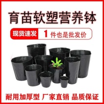 育苗杯育苗盆营养钵育苗营养杯加厚