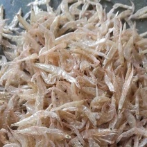 虾皮淡干无盐虾皮质量上乘干度纯干自然天晒虾皮