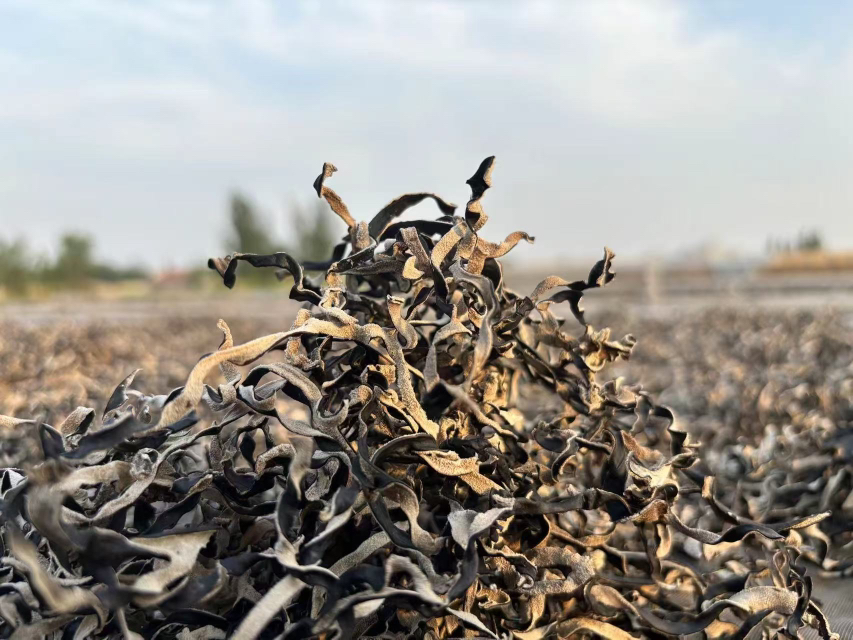 毛木耳烹饪过程示意图