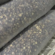 干香菇便宜了，货源充足，适合电商，工厂老板。