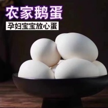 农家鹅蛋