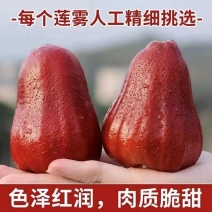 海南黑金刚莲雾当季热带中小莲雾果新鲜水果脆甜黑金刚莲雾