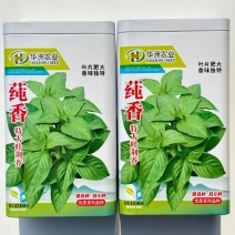 荆芥种子大叶荆芥种子裂叶荆芥种子盆栽蔬菜驱蚊河南荆芥