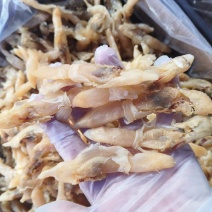 海蛏干山东蛏干肉粒饱满无沙盐分低大量供应全国发货