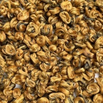 蜜香金螺螺型均匀又饱满，色泽靓，蜜香浓郁香甜，