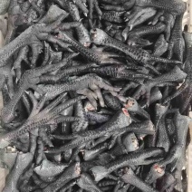 40以上乌鸡爪一吨需要的联系