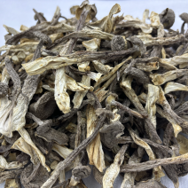鹿茸菇